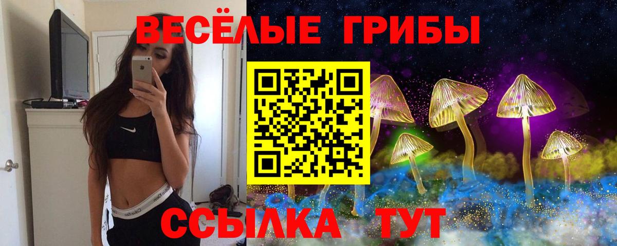 Псилоцибиновые грибы Psilocybe Ртищево