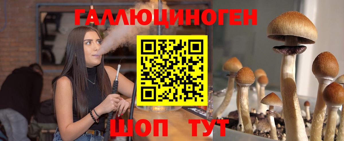 Галлюциногенные грибы MAGIC MUSHROOMS  Вход с VPN  Ртищево  Галлюциногенные грибы прущие грибы 