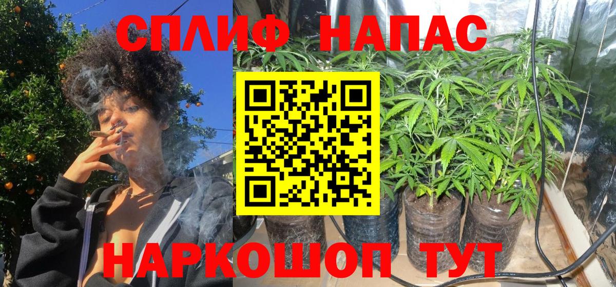 Бошки марихуана марихуана  Вход с VPN  Ртищево  Канабис VHQ 